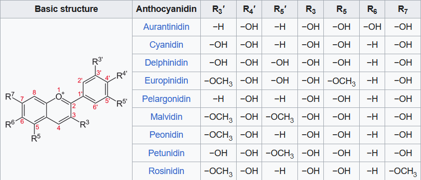 Anthocyanin definition
