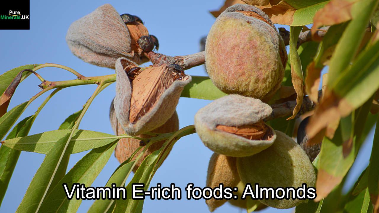 Vitamin E-rich foods: Almonds
