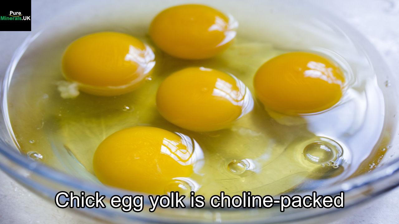 Egg yolk is the richest source of choline