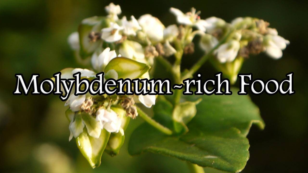 Japanese Buckwheat – Molybdenum-rich food