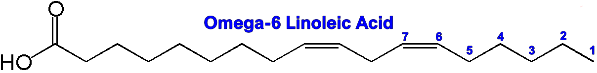 Omega-6 linoleic acid