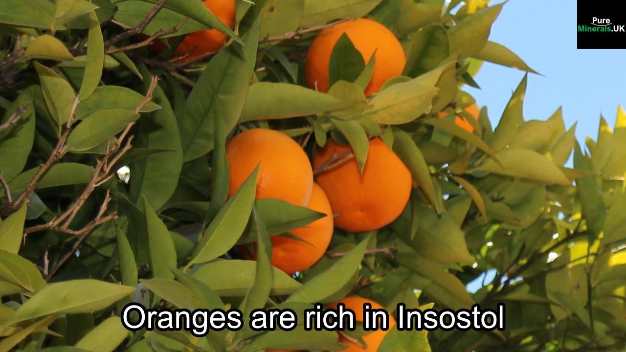 Oranges are rich in Inositol