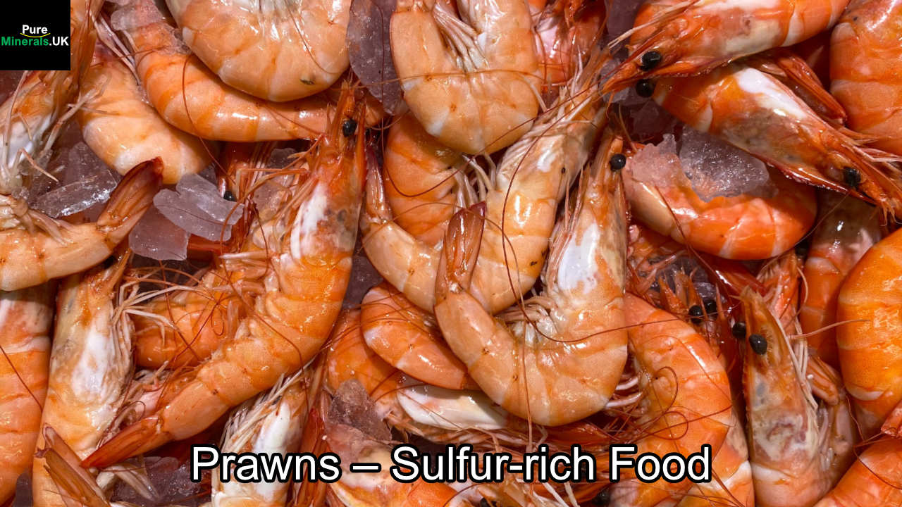 Prawns – sulfur-rich foods