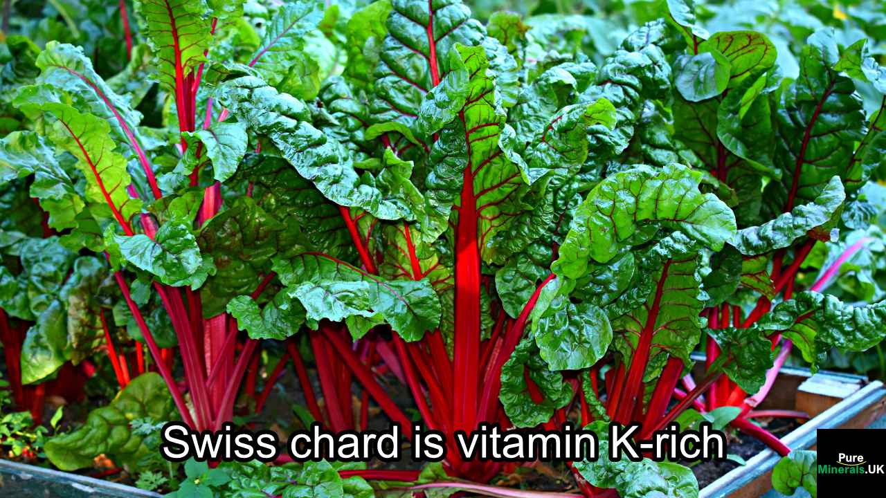 Vitamin K rich foods – Swiss chard