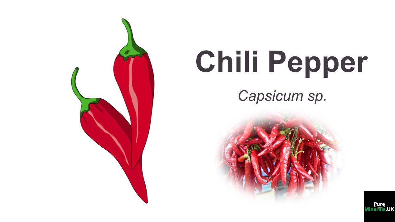 Chili Pepper Health Benefits Pure Minerals UK