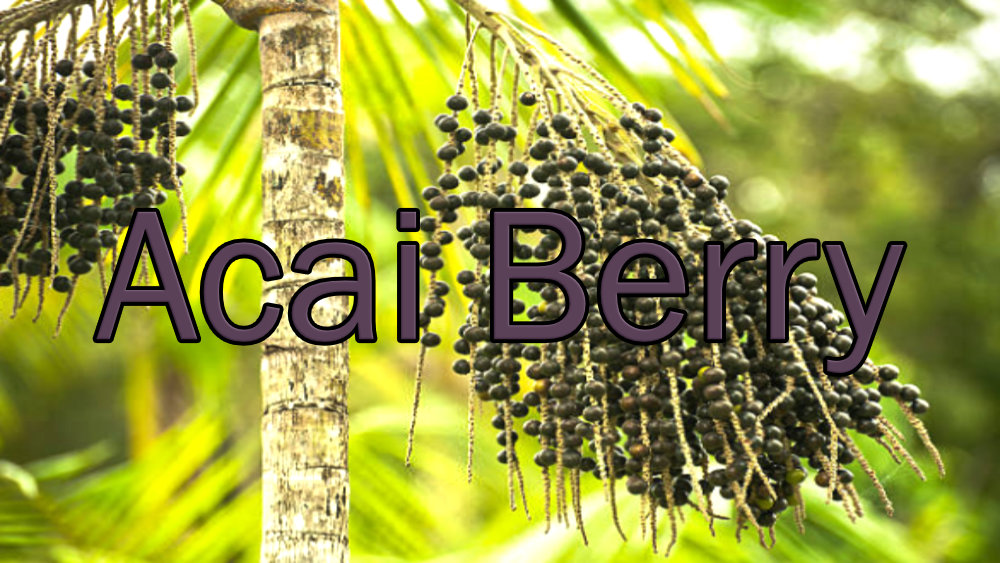 Acai Berries for health