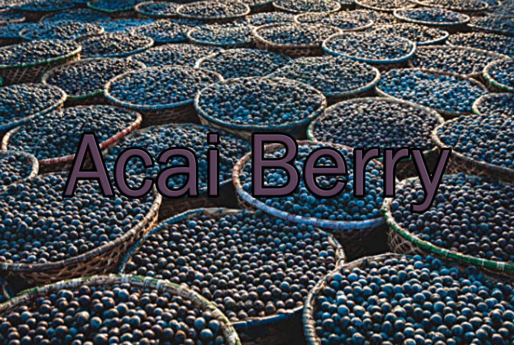 Acai Berries