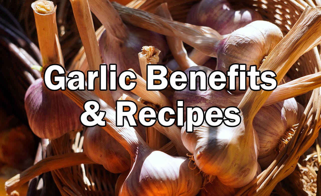 Garlic Benefits & Recipes