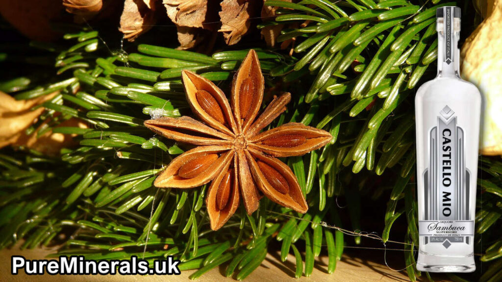 Sambuca Anise-flavored liquor