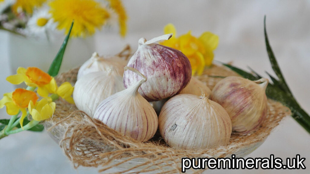 garlic-pureminerals.uk