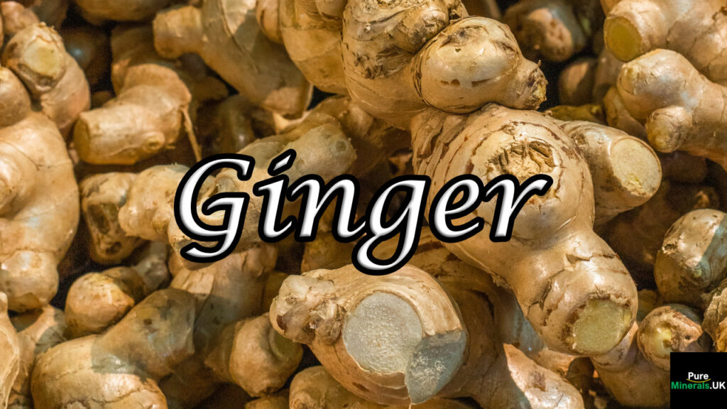 Ginger rhizomes (underground stems).