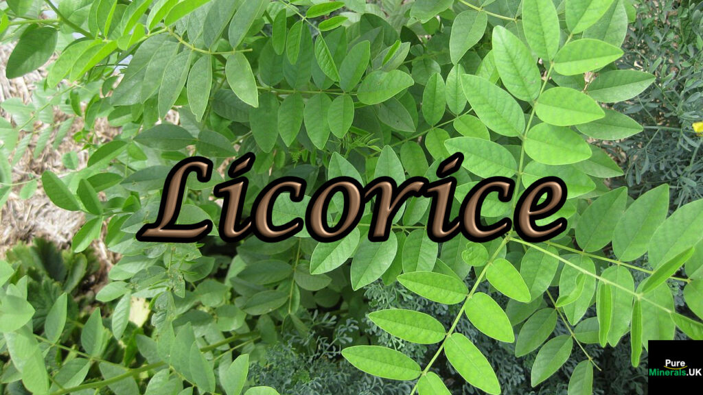 Licorice herb
