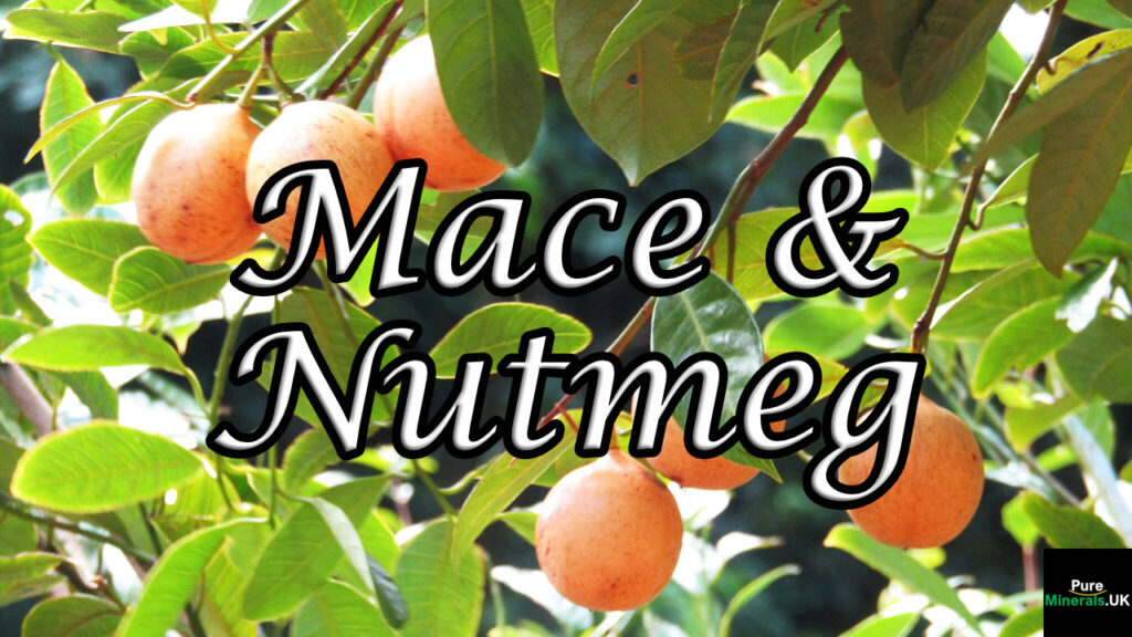 Mace and Nutmeg