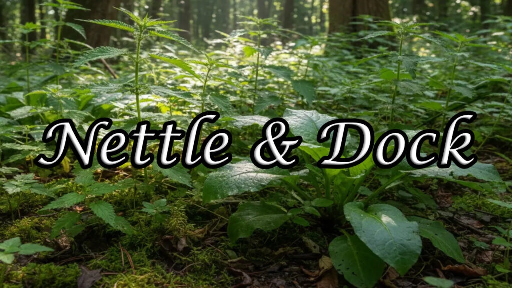 A cluster of stinging nettles with serrated leaves growing alongside broad-leaved dock plants in a sun-dappled woodland clearing, surrounded by forest trees and lush greenery.